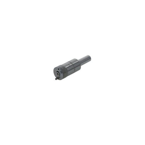 BOSCH Einspritzd&uuml;se H 105 019 255
