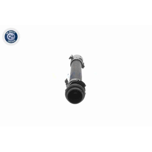 VAICO Schlauch, Luftversorgung Q+, Erstausrüsterqualität V20-3501