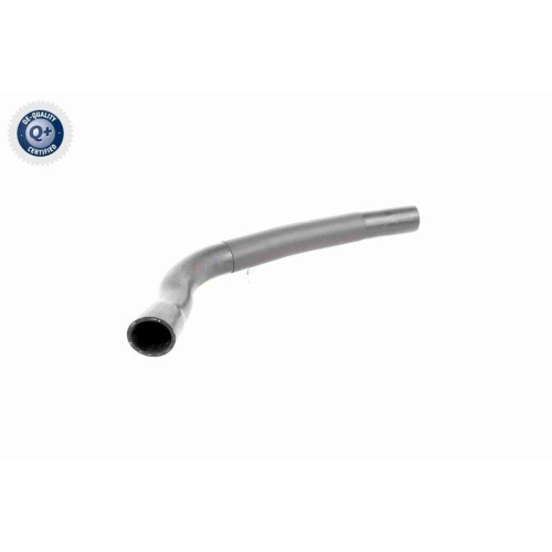 VAICO K&uuml;hlerschlauch Q+, Erstausr&uuml;sterqualit&auml;t V20-3333