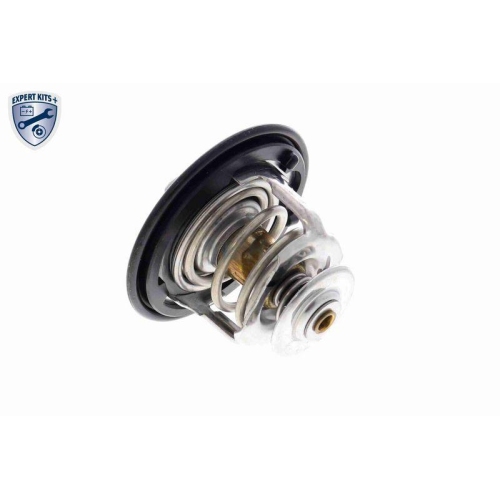 ACKOJA Thermostat, K&uuml;hlmittel EXPERT KITS + A26-99-0007