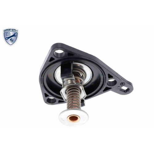 ACKOJA Thermostat, K&uuml;hlmittel EXPERT KITS + A26-99-0012