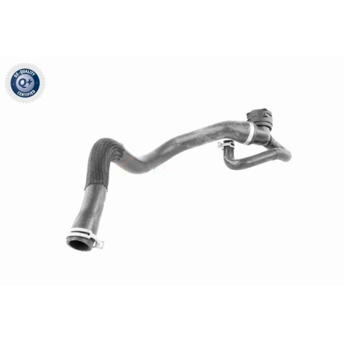 VAICO K&uuml;hlerschlauch Q+, Erstausr&uuml;sterqualit&auml;t V25-1164