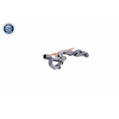 VAICO Kühlerschlauch Q+, Erstausrüsterqualität V10-3910