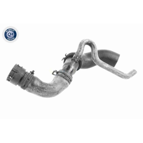 VAICO Kühlerschlauch Q+, Erstausrüsterqualität V10-3915