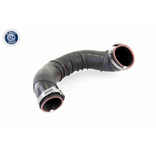 VAICO Ladeluftschlauch Q+, Erstausrüsterqualität V10-4393