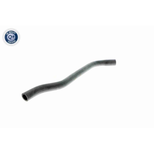 VAICO K&uuml;hlerschlauch Q+, Erstausr&uuml;sterqualit&auml;t V40-1354