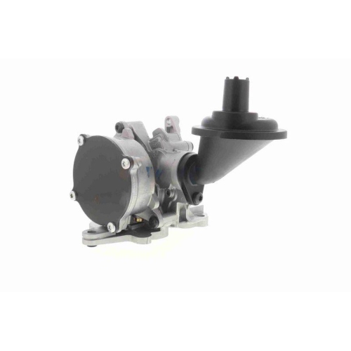 VAICO &Ouml;lpumpe Original VAICO Qualit&auml;t V10-8003