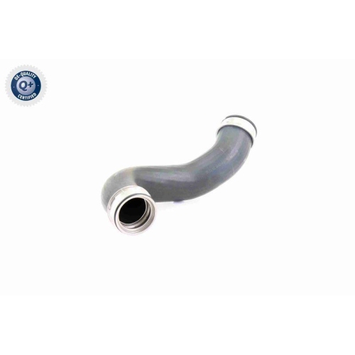 VAICO Ladeluftschlauch Q+, Erstausrüsterqualität V30-2648