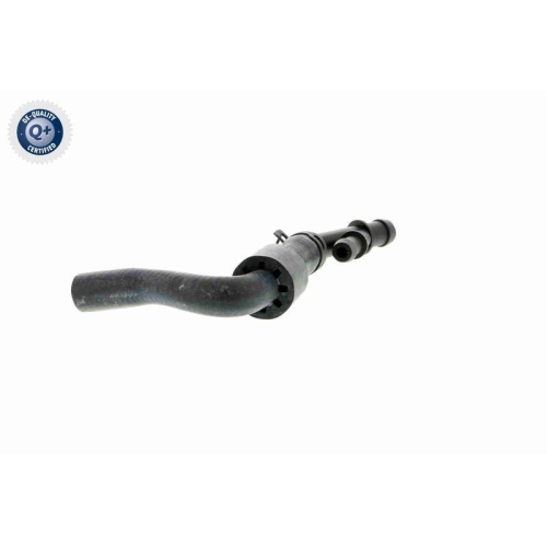 VAICO Kühlerschlauch Q+, Erstausrüsterqualität V10-3912