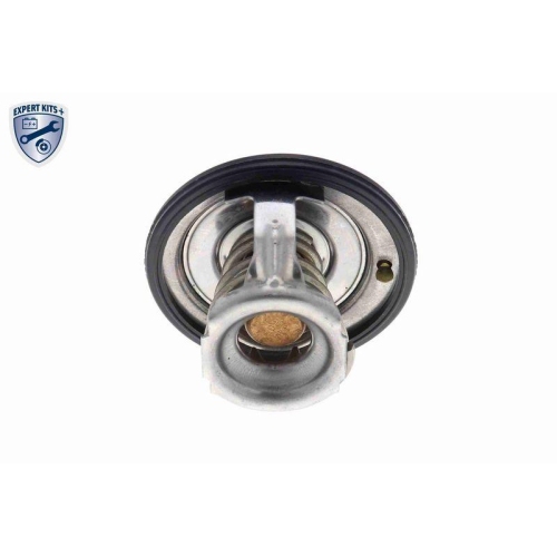 ACKOJA Thermostat, K&uuml;hlmittel EXPERT KITS + A63-99-0004