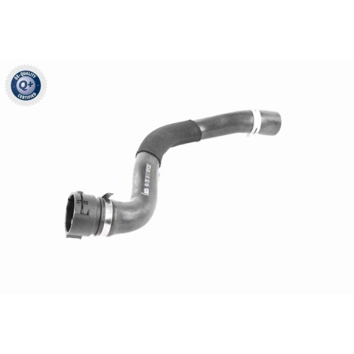 VAICO K&uuml;hlerschlauch Q+, Erstausr&uuml;sterqualit&auml;t