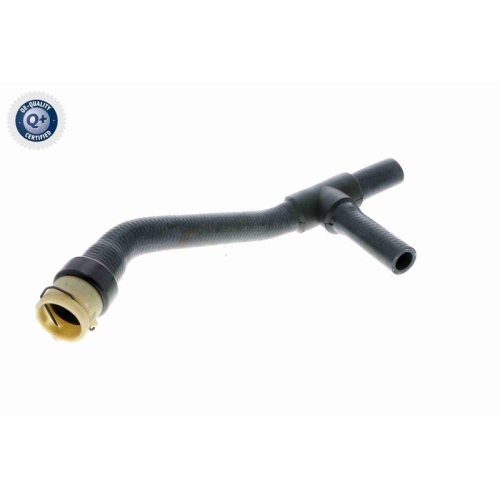 VAICO Kühlerschlauch Q+, Erstausrüsterqualität