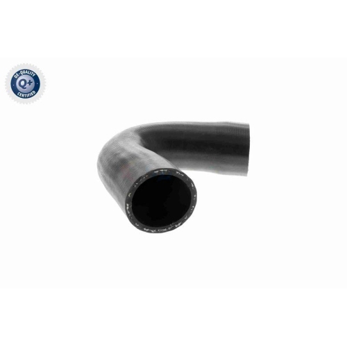 VAICO Ladeluftschlauch Q+, Erstausrüsterqualität V22-1100