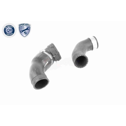 VAICO Ladeluftschlauch EXPERT KITS + V20-2970