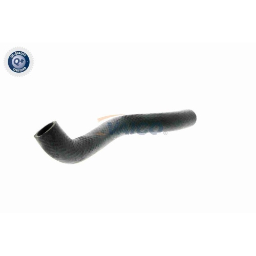 VAICO K&uuml;hlerschlauch Q+, Erstausr&uuml;sterqualit&auml;t V20-1238