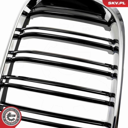 ESEN SKV Kühlergitter 66SKV263