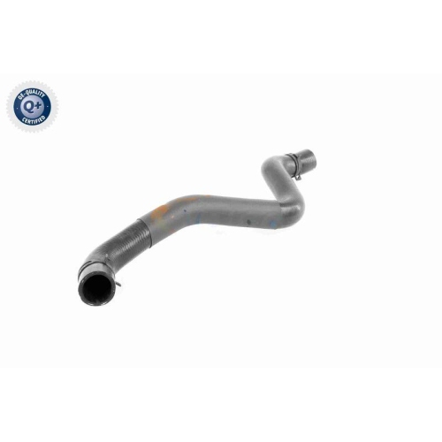 VAICO K&uuml;hlerschlauch Q+, Erstausr&uuml;sterqualit&auml;t V95-0397