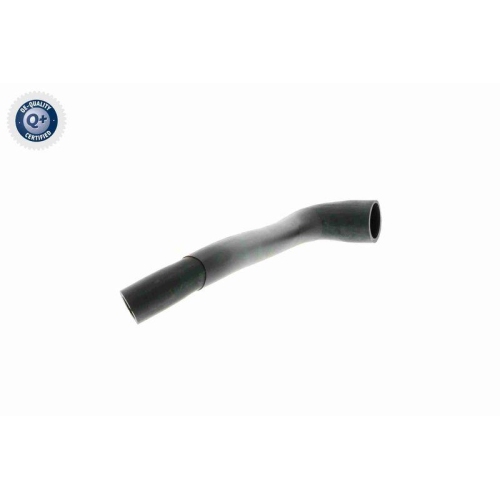 VAICO Schlauch, Zylinderkopfhaubenentl&uuml;ftung Q+, Erstausr&uuml;sterqualit&auml;t V22-1070