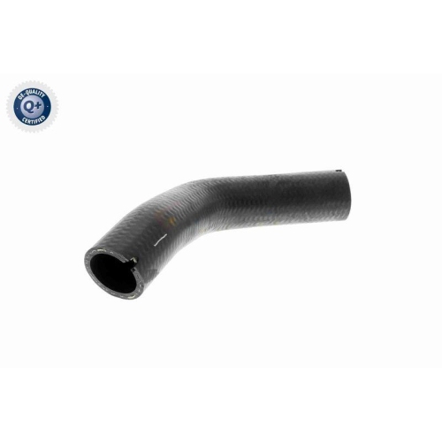 VAICO Ladeluftschlauch Q+, Erstausr&uuml;sterqualit&auml;t V24-0733