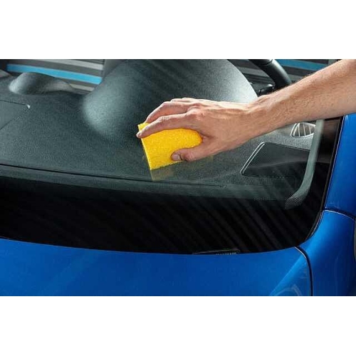 Insektenschwamm Schwamm Insektenentferner Autopflege LIQUI MOLY 1548