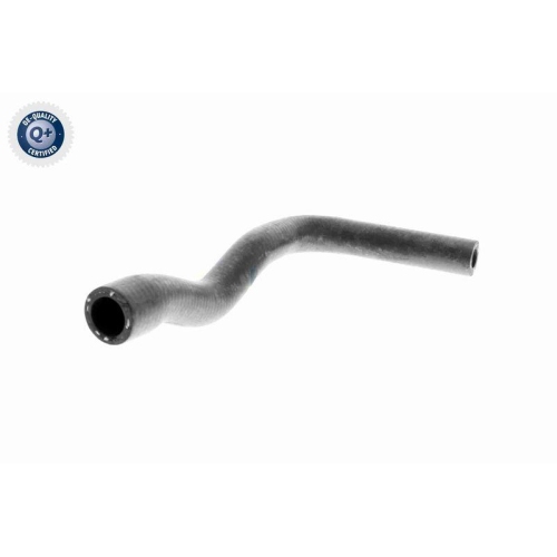 VAICO Kühlerschlauch Q+, Erstausrüsterqualität V20-1240