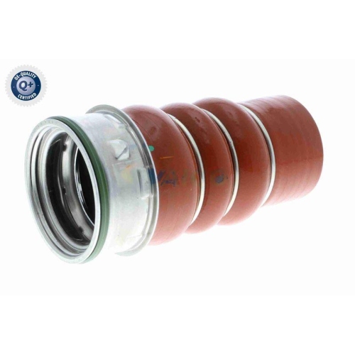 VAICO Ladeluftschlauch Q+, Erstausrüsterqualität