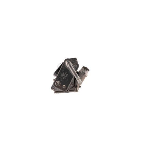 MAHLE &Ouml;lk&uuml;hler, Motor&ouml;l BEHR CLC 342 000S