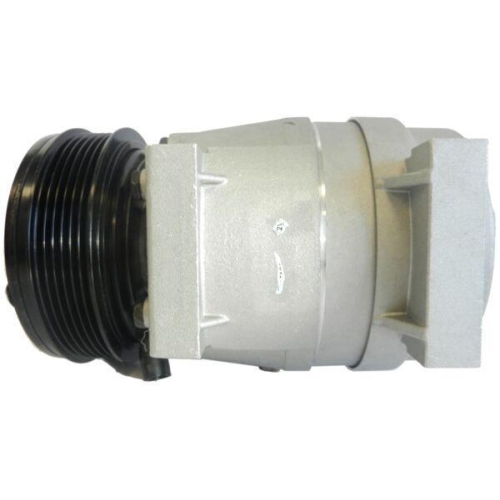 MAHLE Kompressor, Klimaanlage BEHR ACP 65 000S