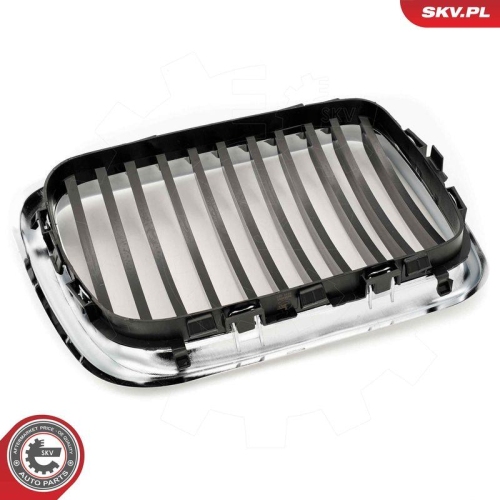 ESEN SKV Kühlergitter