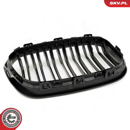 ESEN SKV Kühlergitter
