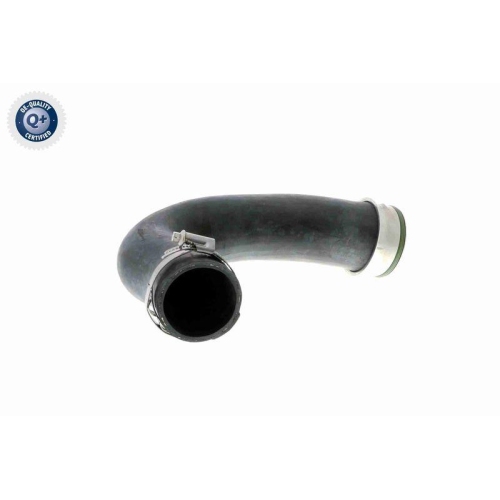 VAICO Ladeluftschlauch Q+, Erstausrüsterqualität