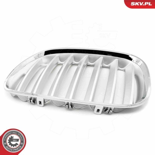 ESEN SKV Kühlergitter