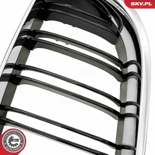 ESEN SKV Kühlergitter