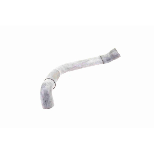 VAICO Kühlerschlauch Original VAICO Qualität V30-1621