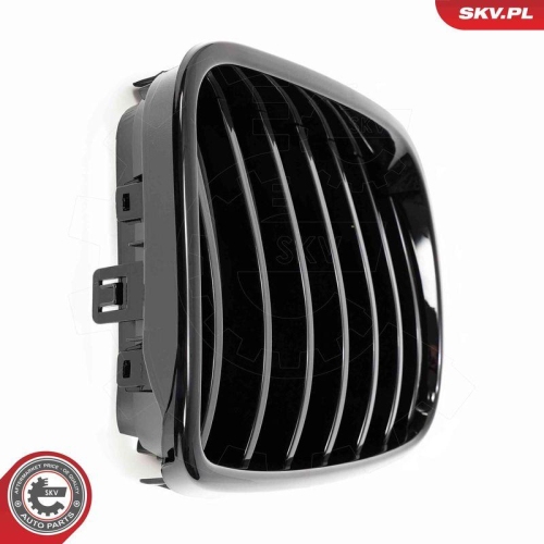 ESEN SKV Kühlergitter