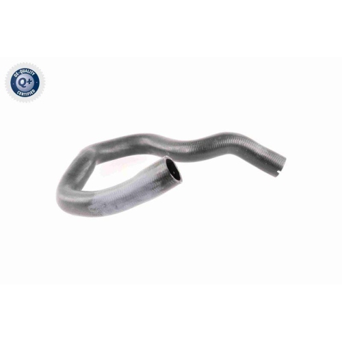 VAICO K&uuml;hlerschlauch Q+, Erstausr&uuml;sterqualit&auml;t V40-1779