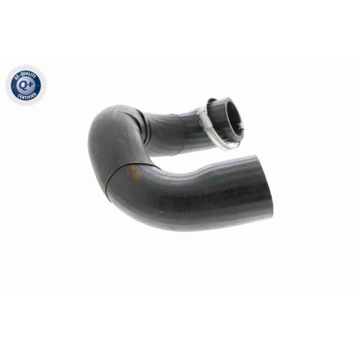 VAICO Ladeluftschlauch Q+, Erstausr&uuml;sterqualit&auml;t