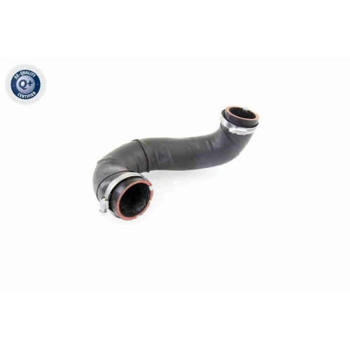 VAICO Ladeluftschlauch Q+, Erstausrüsterqualität