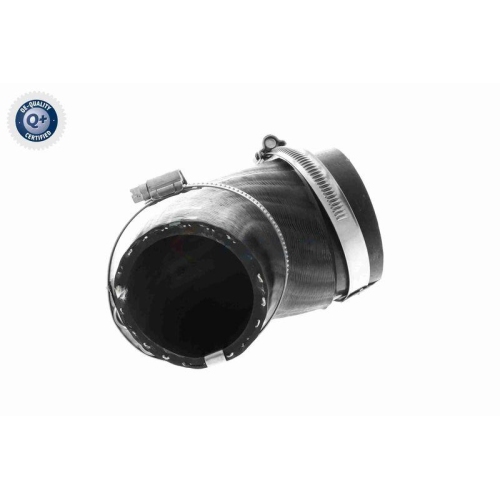 VAICO Ladeluftschlauch Q+, Erstausrüsterqualität V10-5405