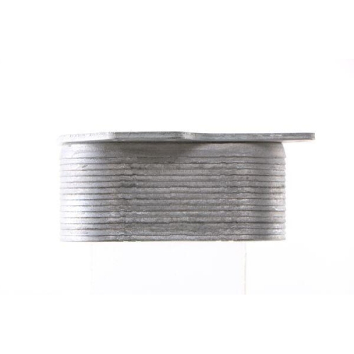 MAHLE &Ouml;lk&uuml;hler, Motor&ouml;l BEHR CLC 134 000S