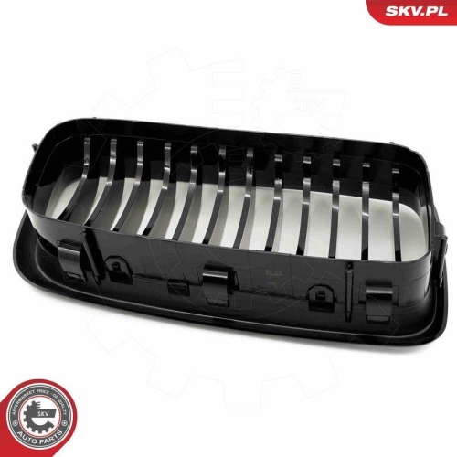 ESEN SKV Kühlergitter