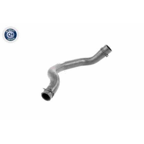 VAICO K&uuml;hlerschlauch Q+, Erstausr&uuml;sterqualit&auml;t V20-3244