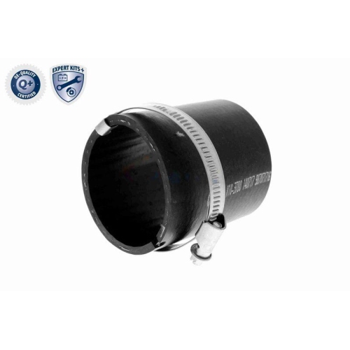 VAICO Ladeluftschlauch EXPERT KITS + V10-3780