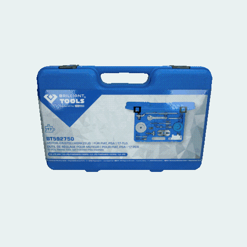 Motor-Einstellwerkzeug-Satz f&uuml;r Fiat, PSA BRILLIANT TOOLS BT592750