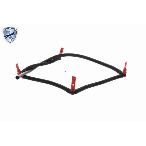 VAICO Schlauch, Leckkraftstoff EXPERT KITS + V22-0809