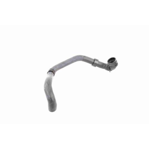 VAICO Kühlerschlauch Original VAICO Qualität V10-4807
