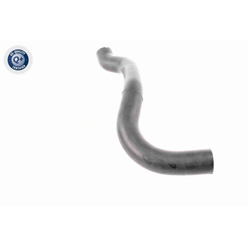 VAICO Ladeluftschlauch Q+, Erstausr&uuml;sterqualit&auml;t V42-0610