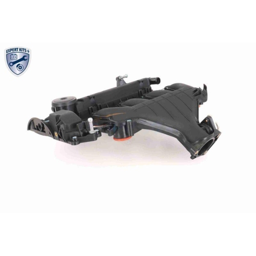 VAICO Zylinderkopfhaube EXPERT KITS + V42-1046