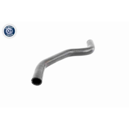 VAICO K&uuml;hlerschlauch Q+, Erstausr&uuml;sterqualit&auml;t V46-0901