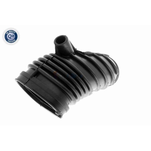 VAICO Ansaugschlauch, Luftfilter Q+, Erstausrüsterqualität V20-2134